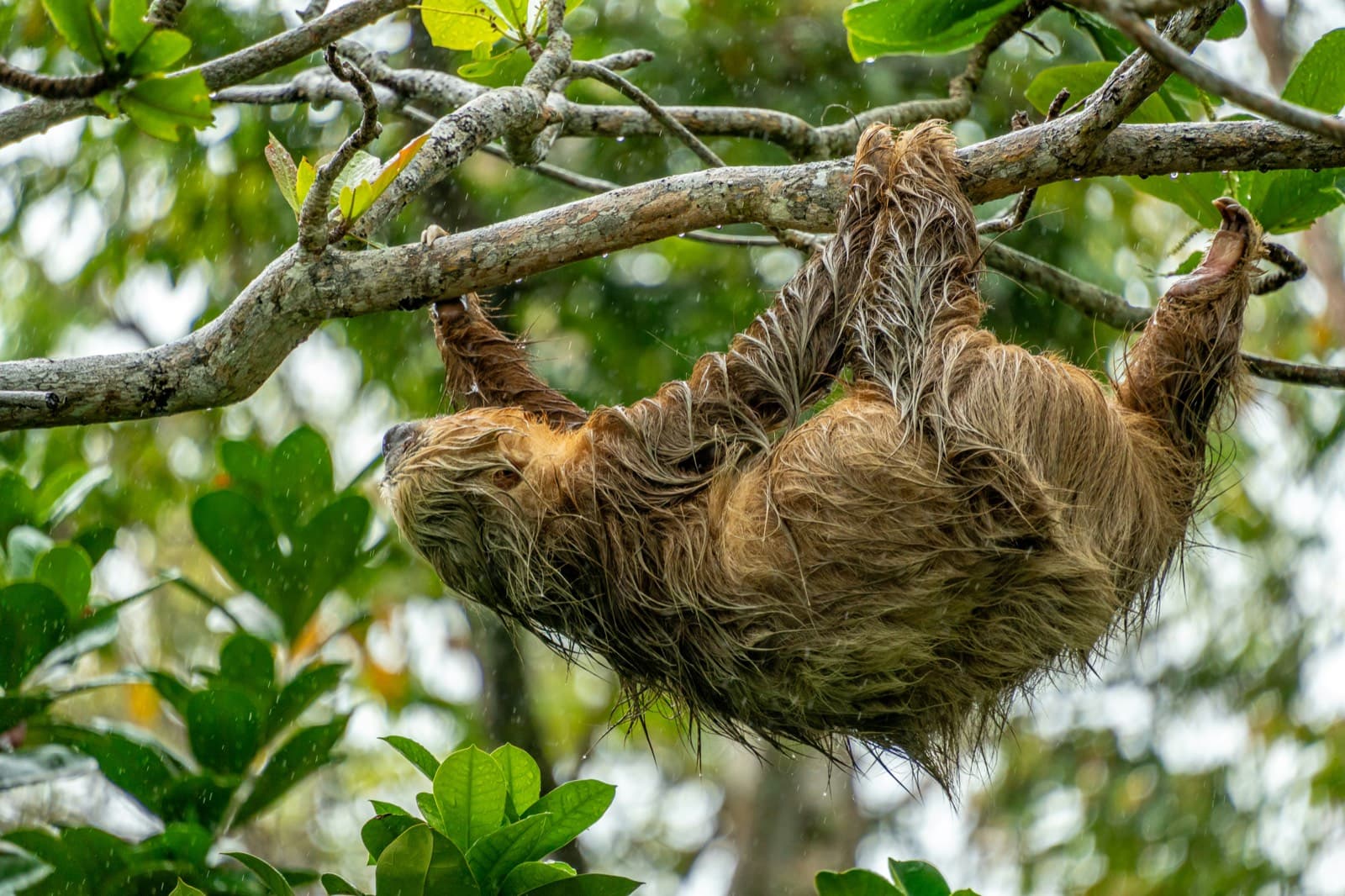 Naturaleza de Costa Rica