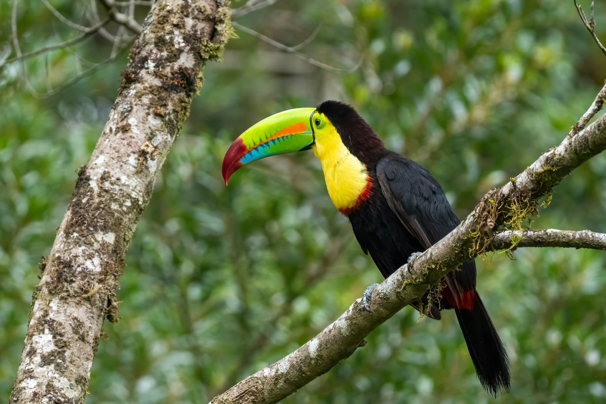 Tours y experiencias en Costa Rica